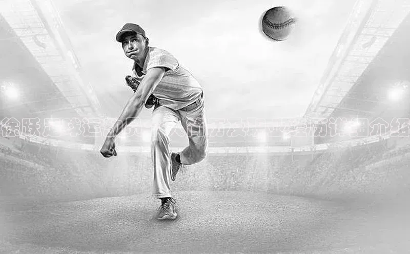 米兰官网首页登录入口百度网盘徐跃足球运动员个人简历及职业经历详细介绍