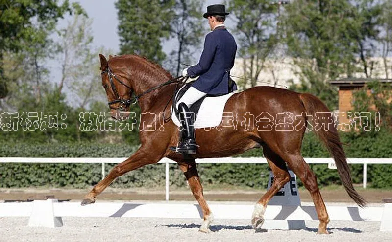 米兰app官网下载安装慧博云通新标题：激情开启！足球运动会盛大开幕词！