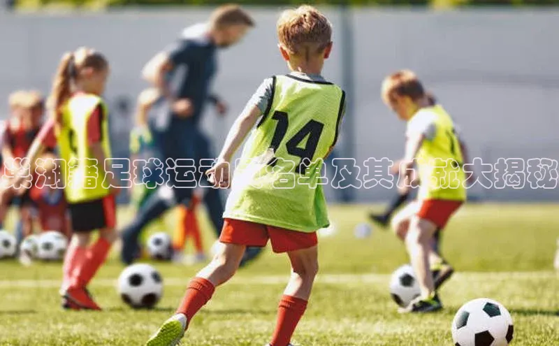 米兰app·体育登录入口猫眼巢湖籍足球运动员名单及其成就大揭秘