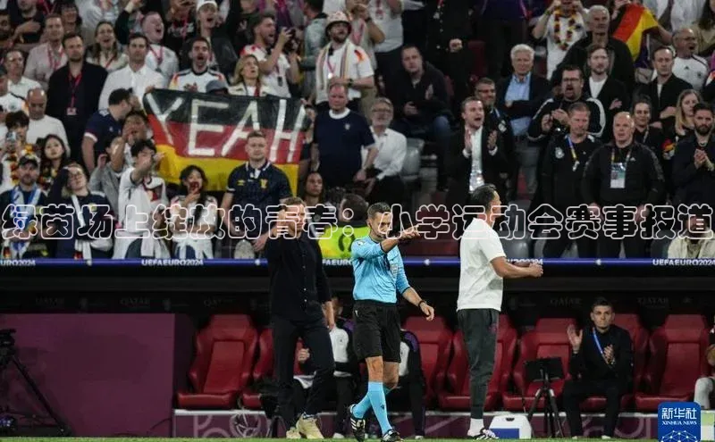 米兰体育彩票是正规的吗宣亚国际绿茵场上绽放的青春：小学运动会赛事报道