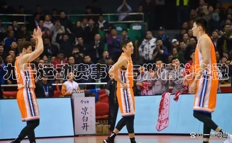 米兰体育官方APP下载普信公司九号运动赛事：与激情的交融