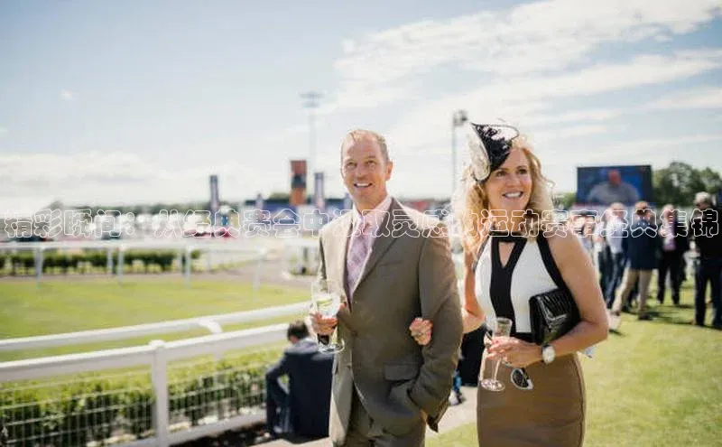 精彩瞬间：从经典赛会中汲取灵感的运动赛事经典集锦