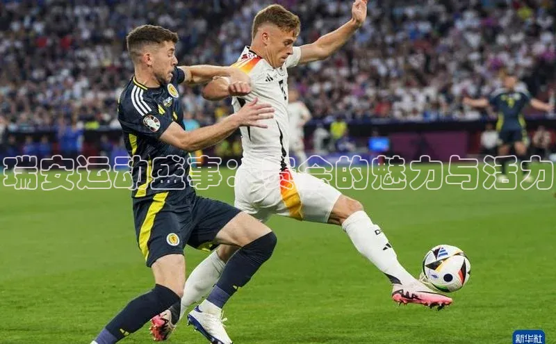 瑞安运动盛事：赛会的魅力与活力