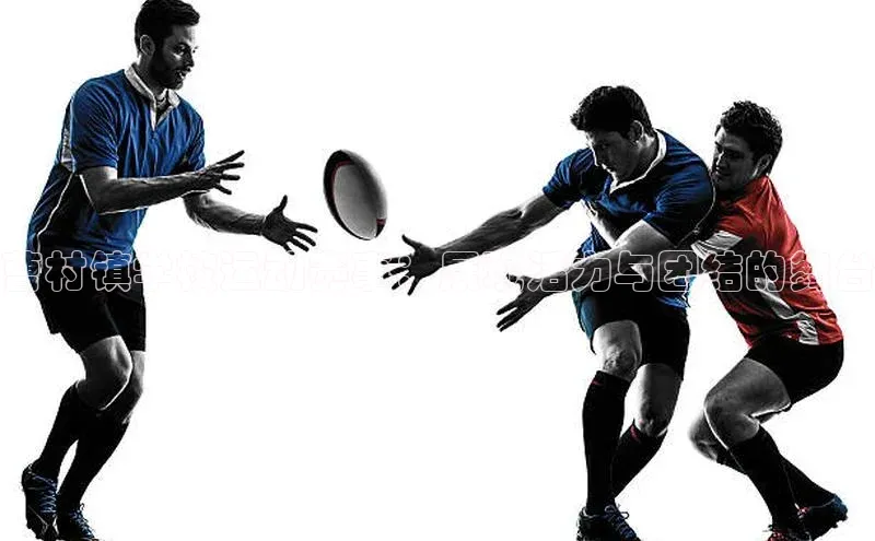 曹村镇学校运动赛事：展现活力与团结的舞台