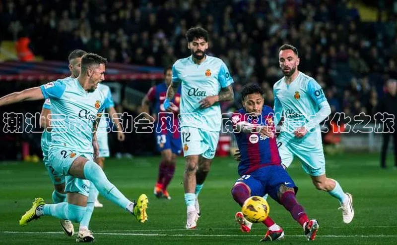 潮汕三市运动会风采：南粤体育文化之旅