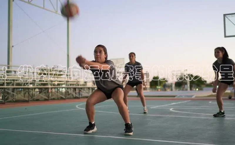 ：省内定向运动赛事的精彩纷呈