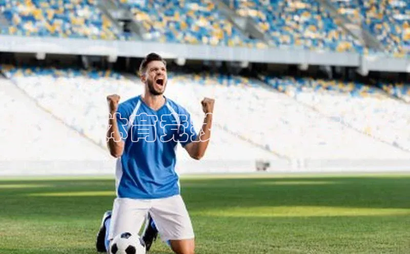 聚焦：体育竞技的魅力与挑战