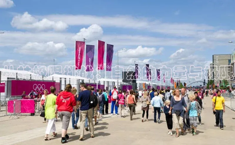 丛林极限挑战：自然的力量与极限