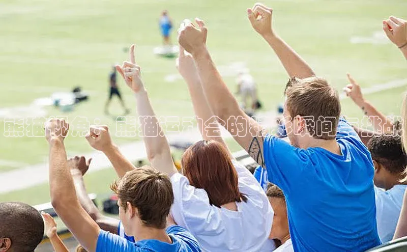 熊猫视角：熊猫运动会的精彩瞬间与挑战