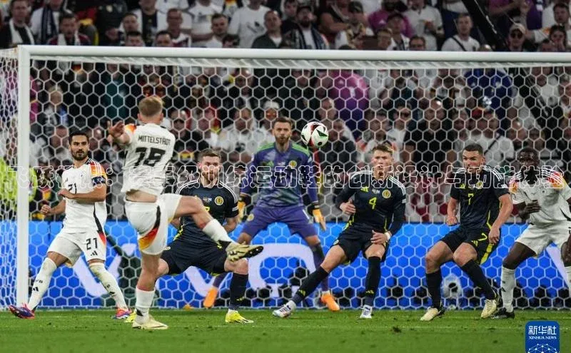 飞跃极限：赛事级训练运动鞋的创新设计与功能体验