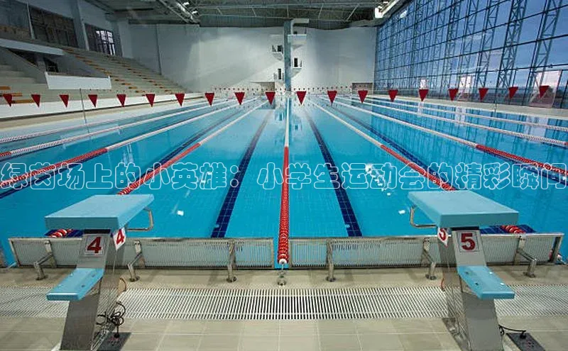 绿茵场上的小英雄：小学生运动会的精彩瞬间