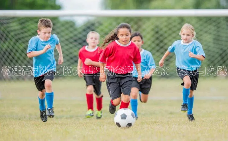 构建高效协同的大型运动会管理体系：模式与实践