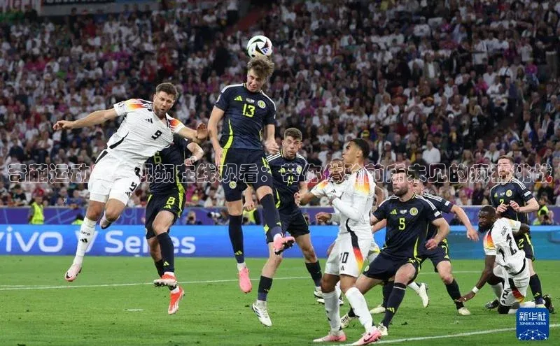 奇葩运动赛事视频在线观看：带你体验前所未见的疯狂挑战