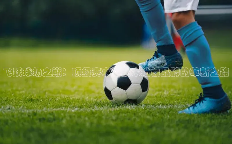 飞跃球场之巅：顶级赛事运动木地板品牌的革新之路