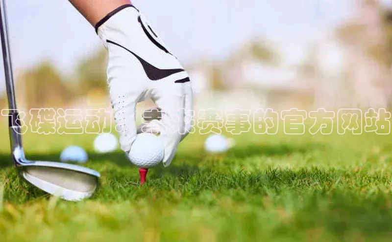 飞碟运动：未来赛事的官方网站