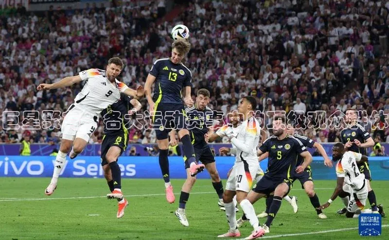 巨星聚首：各大运动赛事中的顶级观众群体