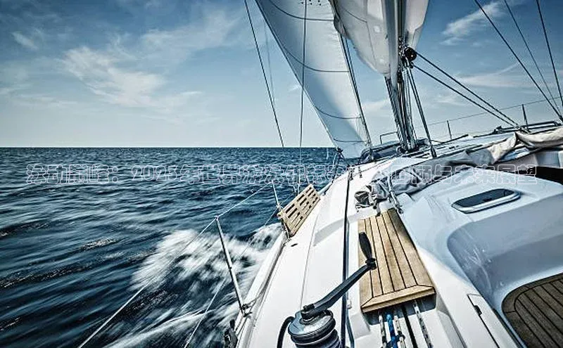 泳动巅峰：2023年世界游泳锦标赛精彩回顾与未来展望