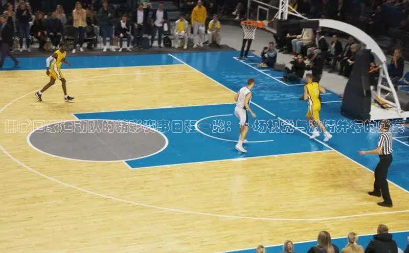 挪威国家运动队的精彩赛事日程一览：一场视觉与激情并存的盛宴