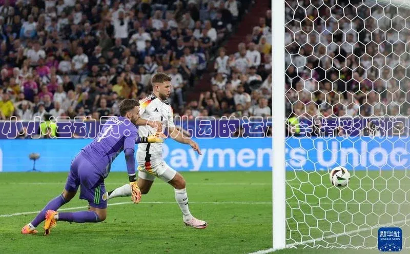 小小运动员：幼儿园的运动会精彩瞬间