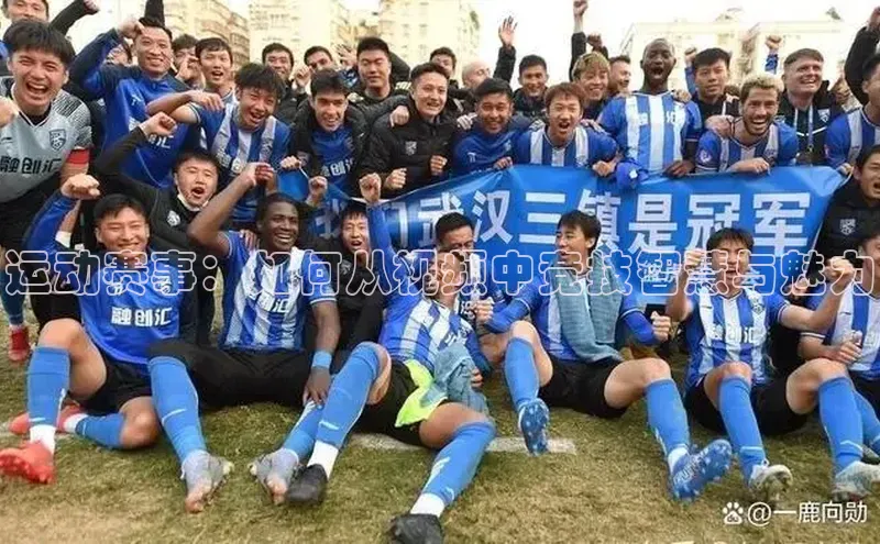 米兰app官方正版官网