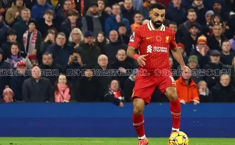 米兰app官方正版官网