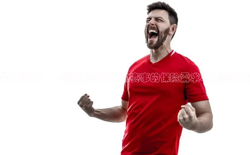 旱地冰球：一项新型冬季运动赛事的保险需求与保障方案